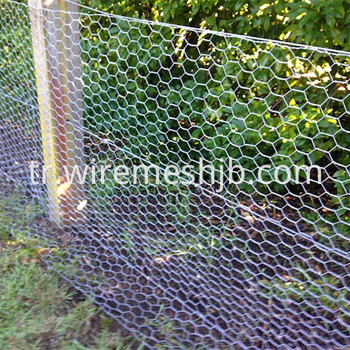 Hexagonal wire mesh